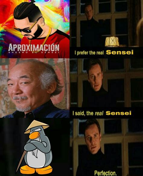 sensei meme.